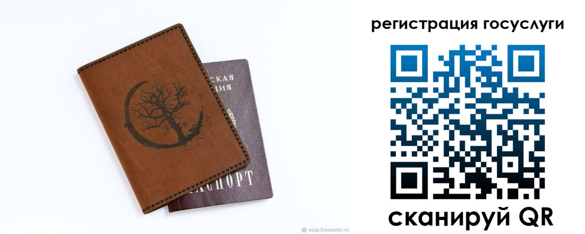 прописка регистрация в Калининграде